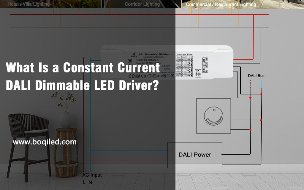 What Is A Constant Current DALI Dimmable LED Driver Features Benefits 